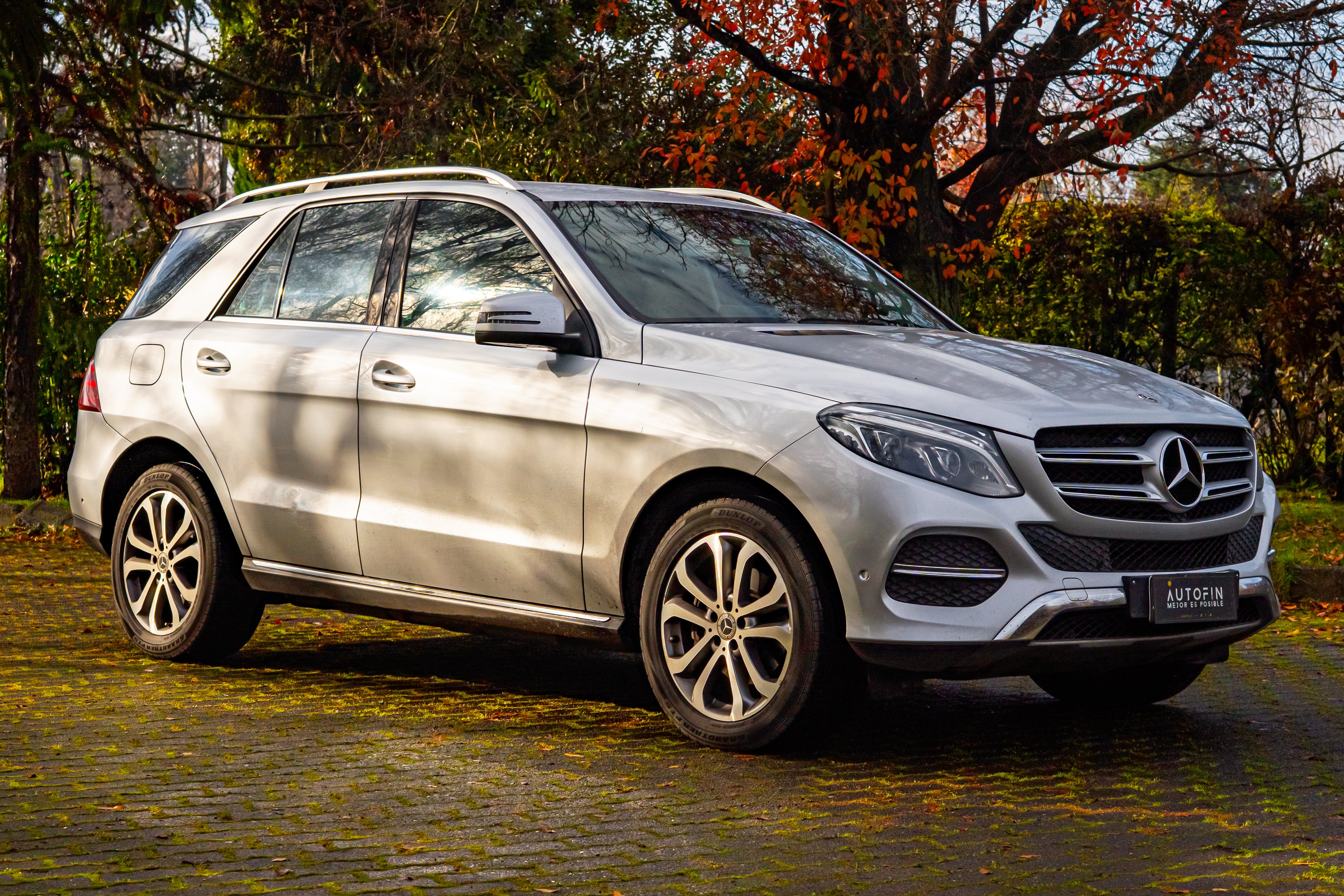 2018 | Mercedes-Benz GLE 250d